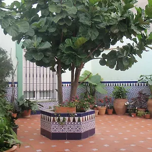 Drago Guest house Pueblo Nuevo de Guadiaro